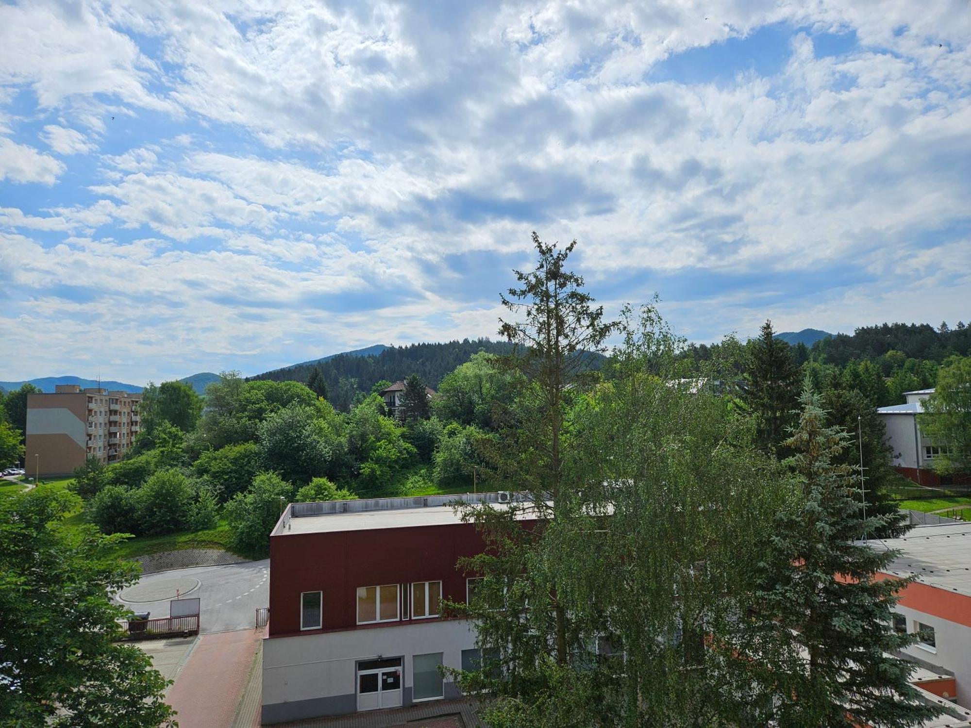 Wolf Apartman Pokojne Ubytovanie V Povazskej Bystrici Ticha Lokalita S Parkovanim Vsade Blizko Vhodne Pre Pracovne Cesty Turistiku Aj Oddych Plne Vybavena Kuchyna Povazska Bystrica Ngoại thất bức ảnh